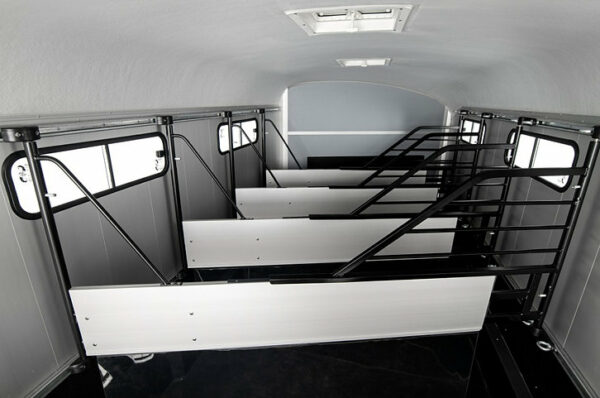 ISLANDIC LIBERTY Cheval Trailer con Selleria - Image 2