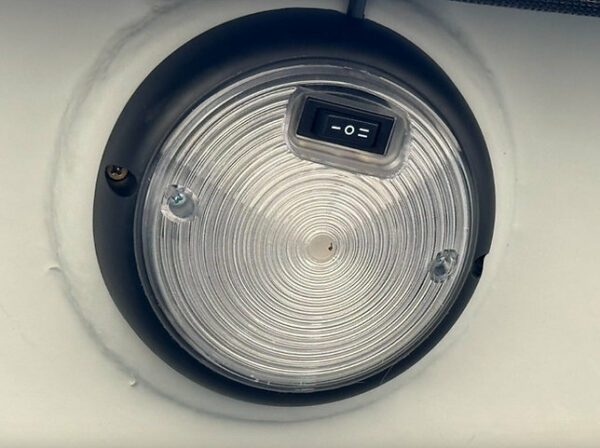 Trailer di cavalli Liberté Origins + Sallery - Image 5