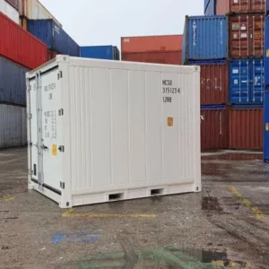 Contenitore di refrigerazione domestico da 10 piedi